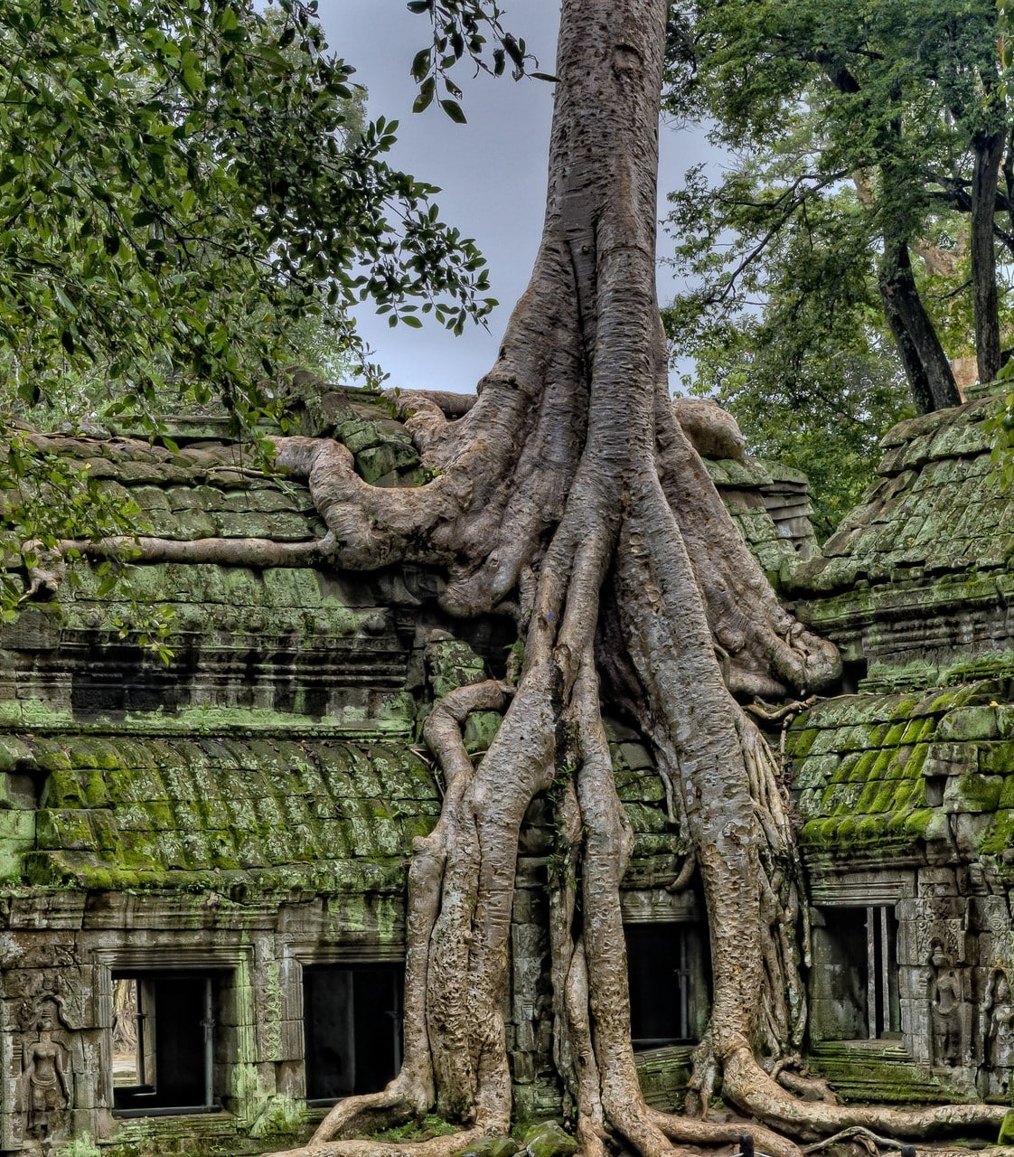 Relaxation Coréenne Pertuis Avignon Cavaillon
